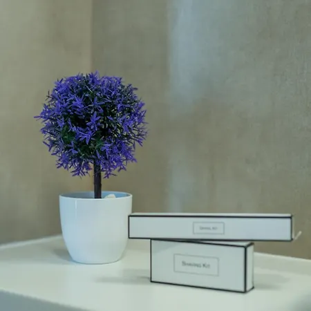 Feriehus Casa Rose Novigrad Istria