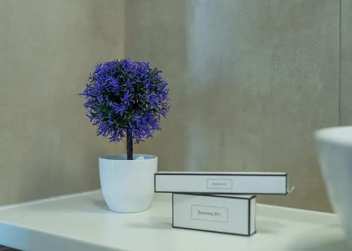 Vakantiehuis Casa Rose Novigrad Istria